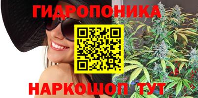 Альфа ПВП Пушкино