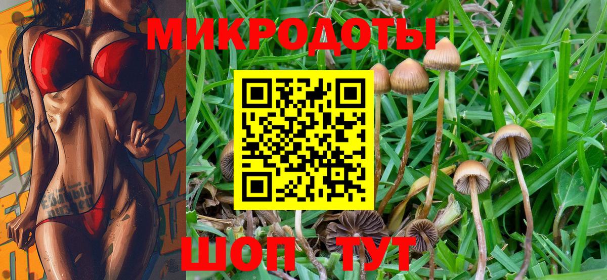 Галлюциногенные грибы GOLDEN TEACHER Альметьевск