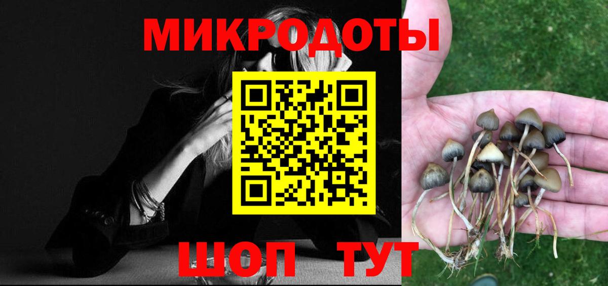 Галлюциногенные грибы Magic Shrooms  Вход с VPN  Альметьевск  Галлюциногенные грибы мухоморы 